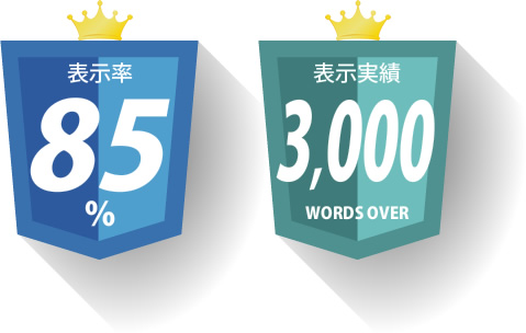 表示率85％　表示実績3,000 WORDS OVER